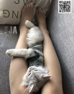 国产十大排名手机壳_神马影院手机在线观看