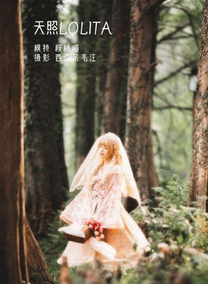 欧美壁炉装修效果图_BD韩语神马影院手机在线