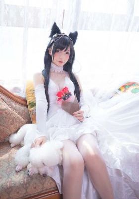 永久日韩兔费视频_超清动漫在线观看